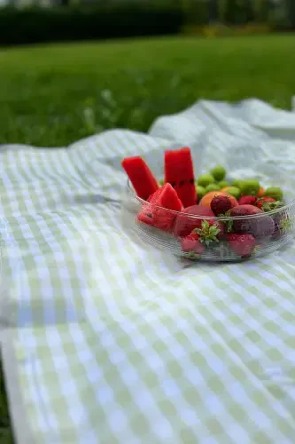 Клетчатая водостойкая скатерть для пикника, пляжа, кемпинга 150x200 см. 4-6 человек-зеленый - 2