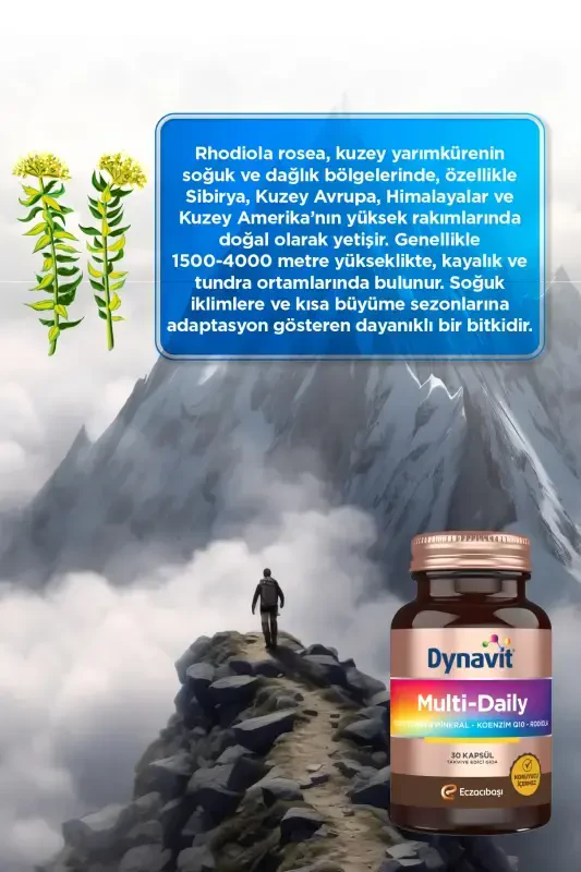 Ko'p kunlik Multivitamin & Mineral - Koenzim Q10 - Rodiyo 30 Kapsula - 4