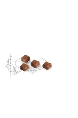 Корм для кошек для матери и котят 2 кг - ROYAL CANIN (1)