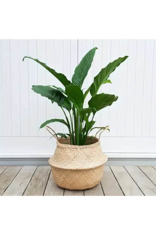 Корзина Fladıs из морской травы - 7