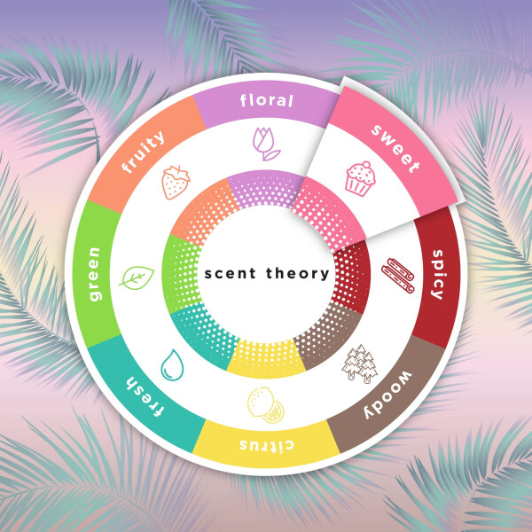 Крем для рук и тела Scent Theory с маслом ши для всех типов кожи, Coconut Dreams, 237 мл - 13