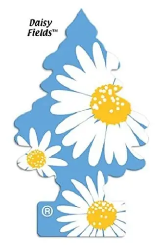 LITTLE TREES 076171673473 Daisy Fields Hanging Paper Tree for Home or Car, 6 Pack - 4
