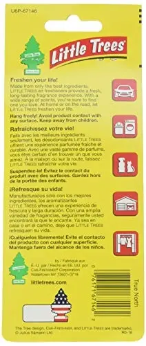Little Trees Car Air Freshener 6-Pack (True North) - 2