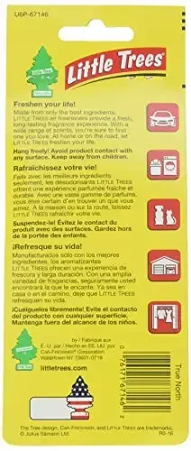 Little Trees Car Air Freshener 6-Pack (True North) - LITTLE TREES (1)