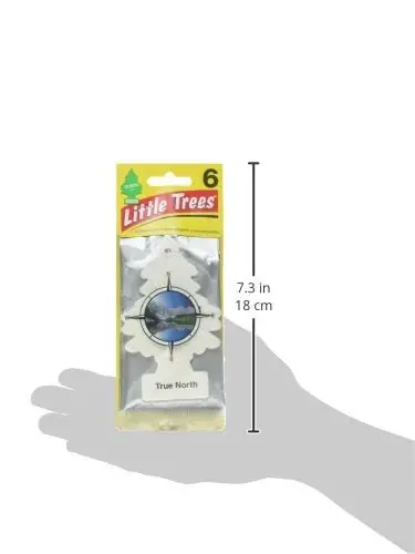 Little Trees Car Air Freshener 6-Pack (True North) - 3