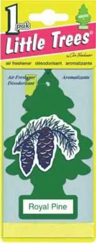 LITTLE TREES Car Air Freshener | Hanging Paper Tree for Home or Car | Royal Pine | 24 Pack - LITTLE TREES
