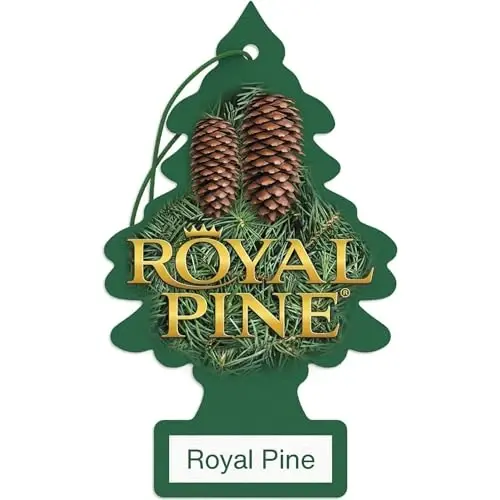 LITTLE TREES Car Air Freshener | Hanging Paper Tree for Home or Car | Royal Pine | 6 Pack - 1