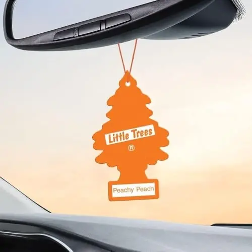 LITTLE TREES Car Air Freshener | Hanging Paper Tree for Home or Car | Peachy Peach | 3 Pack - 4