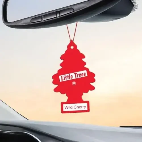 LITTLE TREES Car Air Freshener | Hanging Paper Tree for Home or Car | Wild Cherry | Pack of 6 - 4