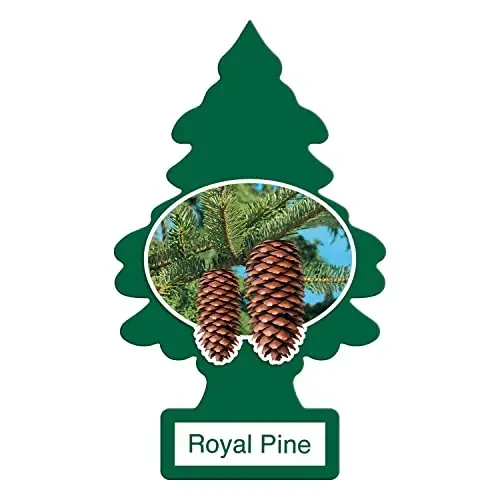 LITTLE TREES Car Air Freshener | Hanging Paper Tree for Home or Car | Royal Pine | 12 Pack 