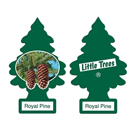 LITTLE TREES Car Air Freshener | Hanging Paper Tree for Home or Car | Royal Pine | 12 Pack - LITTLE TREES (1)