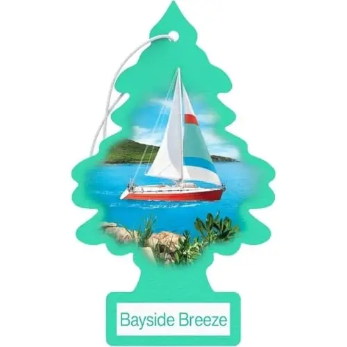 Little Trees Cardboard Hanging Car, Home & Office Air Freshener, Bayside Breeze (Pack of 6) - LITTLE TREES