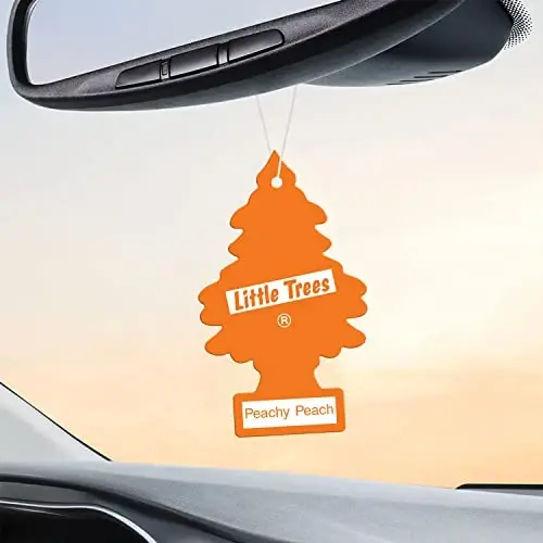 Little Trees Cardboard Hanging Car, Home & Office Air Freshener, Peachy Peach (Pack of 6) - 5