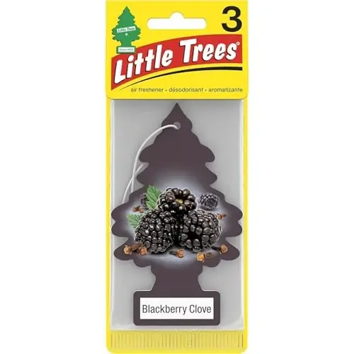 Little Trees Air Fresheners 3 Pack - Blackberry Clove - LITTLE TREES (1)