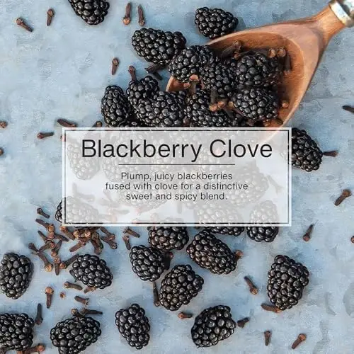 Little Trees Air Fresheners 3 Pack - Blackberry Clove - 5