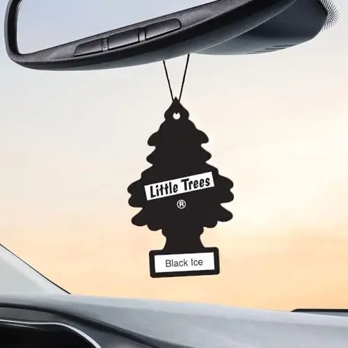 Little-Trees Black Ice Little Tree Air Freshener- 24 Pack - 4
