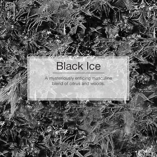 Little-Trees Black Ice Little Tree Air Freshener- 24 Pack - 5