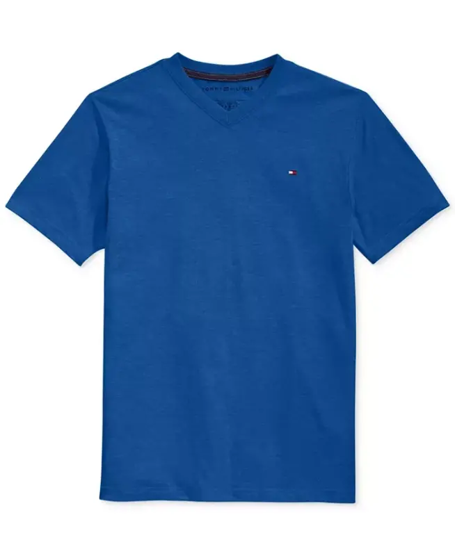 Toddler and Little Boys Embroidered Logo V-Neck Tee - 5