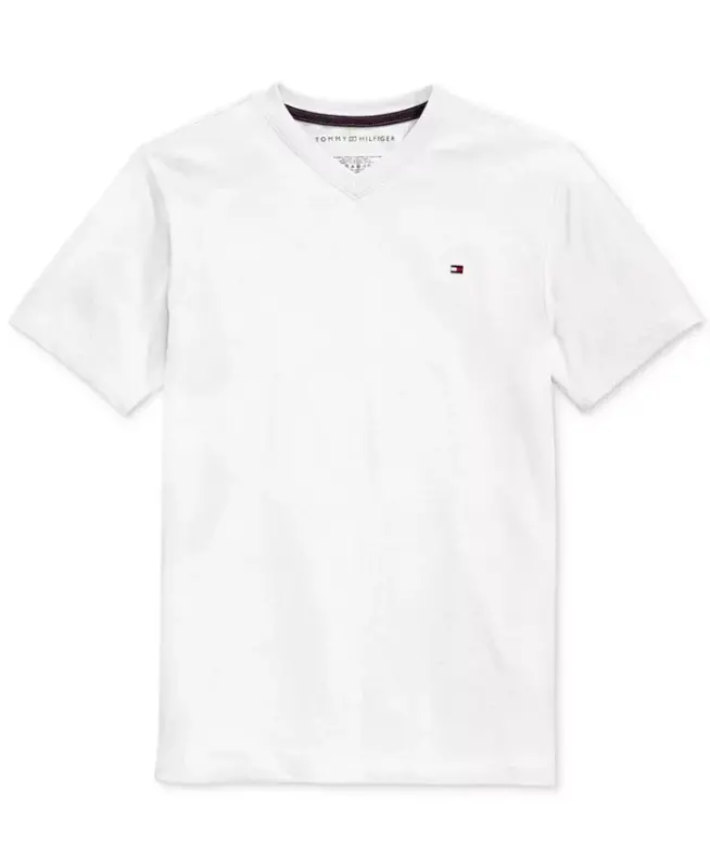 Toddler and Little Boys Embroidered Logo V-Neck Tee - White - 5