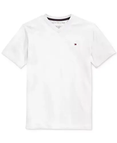 Toddler and Little Boys Embroidered Logo V-Neck Tee - 5