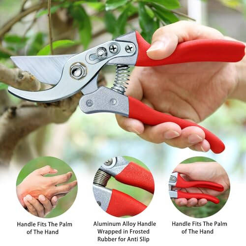 Kynup Pruning Shears for Gardening, Garden Hand Shears, Professional Bypass Pruner Hand Shears Heavy Duty, Pruners for Gardening, Garden Clippers, Hedge Shears, Garden Tools(Red) - 3