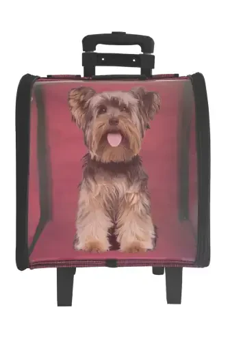 La Vista Kale Rolling Suitcase-Pink - 4