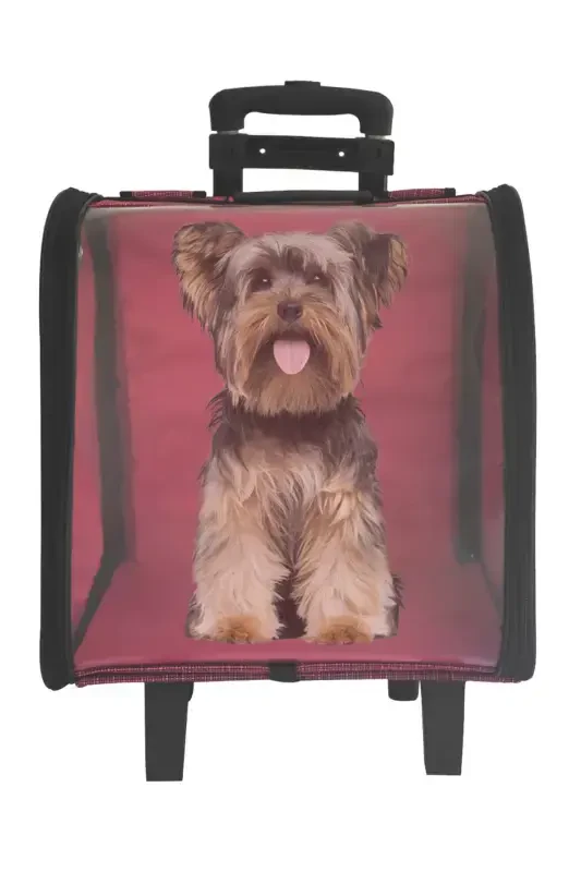 La Vista Kale Rolling Suitcase-Pink - 4