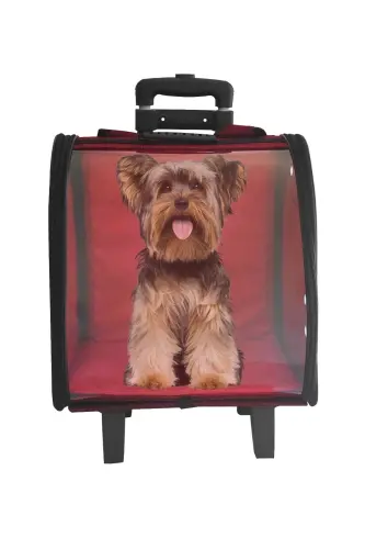 La Vista Kale Valiz Çekcekli Taşıma Çantası Kırmızı-Kırmızı - 3