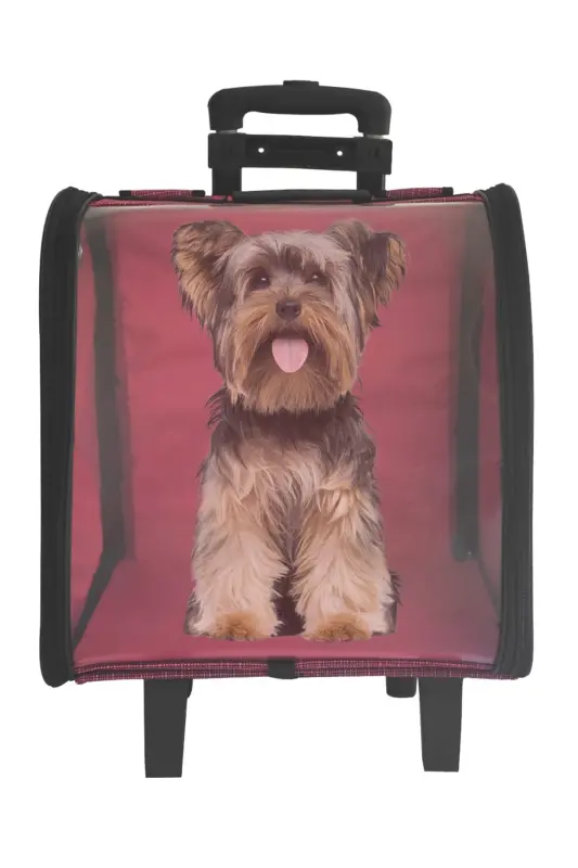 La Vista Kale Valiz Çekcekli Taşıma Çantası-Pembe - 4