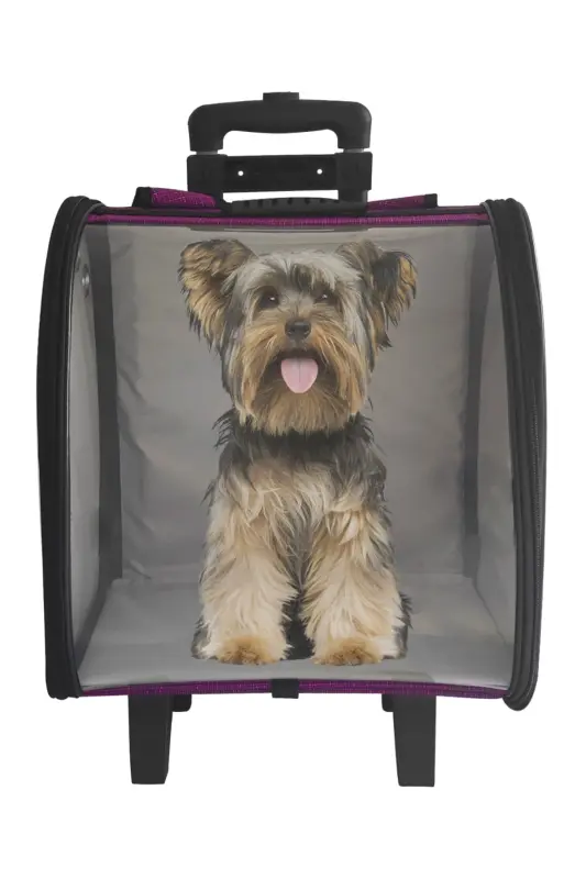 La Vista Kale Wheeled Suitcase Carrier Bag Purple-Purple - 4