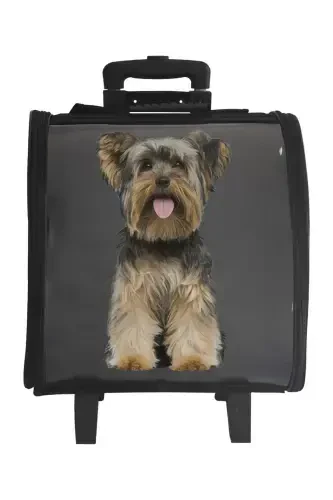 La Vista Kale Wheeled Trolley Carry-on Bag - Black - 4