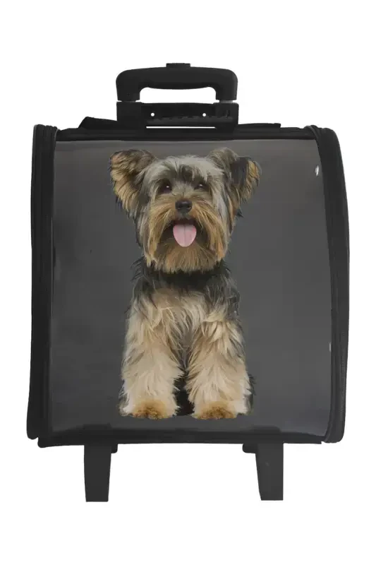 La Vista Kale Wheeled Trolley Carry-on Bag - Black - 4