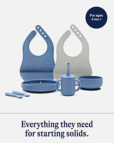 Lalo First Bites Silicone Baby Feeding Set - Baby Led Weaning Supplies - Non-Toxic Silicone - Includes 2 Bibs, 2 Spoons, Training Cup, Suction Plate and Bowl - 6 Pieces - Blueberry - 3