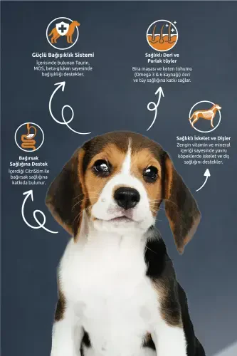 Lamb & Rice Puppy Dog Food 10 Kg - REFLEX (1)