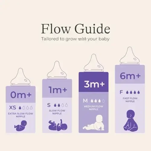 Lansinoh Anti-Colic Baby Bottles for Breastfeeding Babies, 8 Ounces, 3 Count, Includes 3 Medium Flow Nipples, Size M - 3