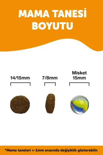 Lavital Salmon Katta Zotli Voyaga Yetgan Itlar Uchun Oziq-ovqat 12 x 3 Kg - 3