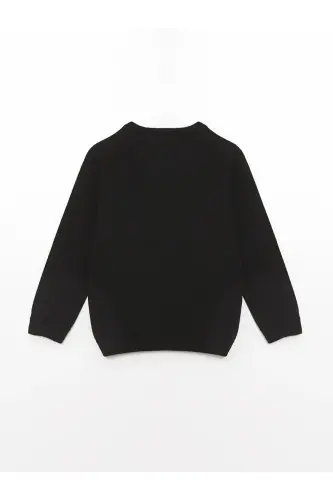 LCW baby Bisiklet Yaka Uzun Kollu Erkek Bebek Triko Kazak-Siyah - LC WAIKIKI (1)