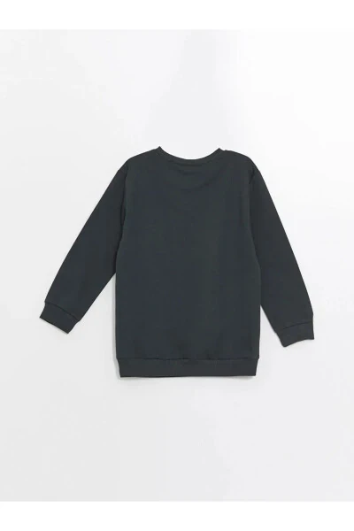 LCW Baby Crew Neck Long Sleeve Printed Boys Baby Sweatshirt 2 Pack - 4