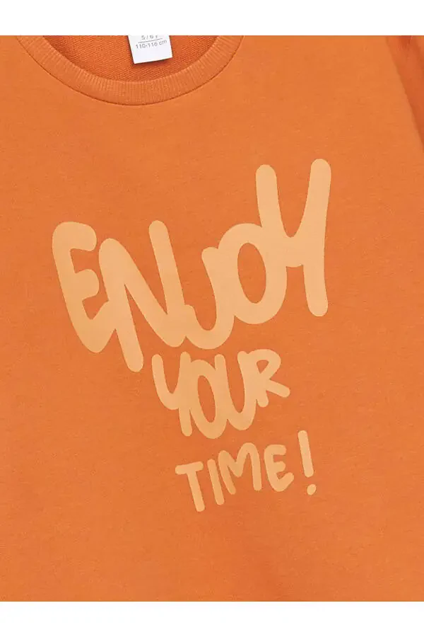 LCW Baby Crew Neck Long Sleeve Printed Boys Baby Sweatshirt 2 Pack - 6