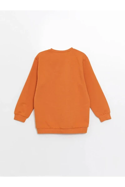 LCW Baby Crew Neck Long Sleeve Printed Boys Baby Sweatshirt 2 Pack - 7