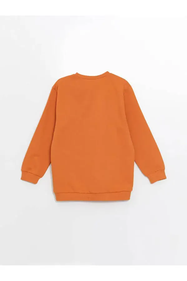 LCW Baby Crew Neck Long Sleeve Printed Boys Baby Sweatshirt 2 Pack - 7