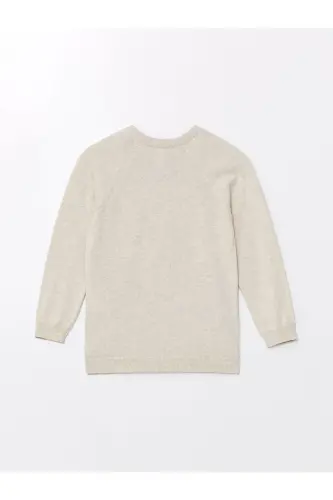 LCW Kids Bisiklet Yaka Uzun Kollu Erkek Bebek Triko Kazak-Ekru Melanj - LC WAIKIKI (1)