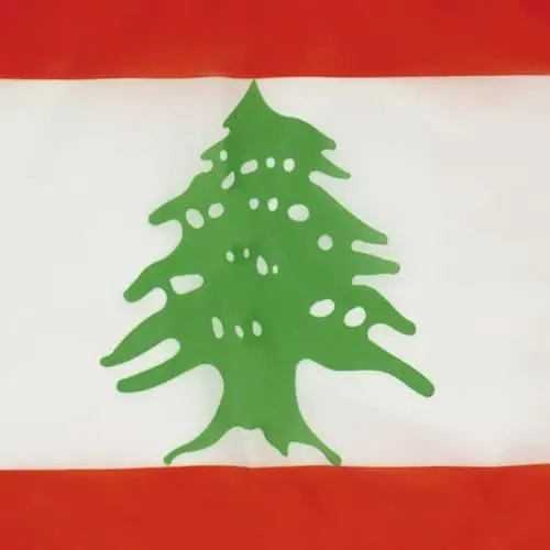 Lebanon NAUTICAL Flag 18'' x 12'' - Lebanese flags 30 x 45 cm. - Banner 12x18 in for boat - AZ FLAG - 3