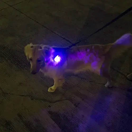 LED Xavfsizlik chirog'i (2 dona) - Yuguruvchilar, it, velosiped, piyoda, qayiq, kayak, aravacha va boshqalar uchun qisqichli Strob/Yugurish chiroqlari - Reflektorli jihozlar, velosiped uchun yuqori ko'rinishga ega aksessuarlar - 4