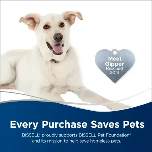 Легкий проводной пылесос-швабра BISSELL 3 в 1 - 3