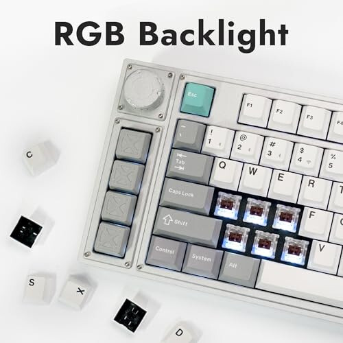 LEMOKEY L3 TKL Layout Wireless QMK/Launcher Full-Metal Hot-Swappable RGB Backlight Custom Mechanical Keyboard for Windows/Linux, Gateron Brown Switch, Fully Assembled Knob - Silver - 5