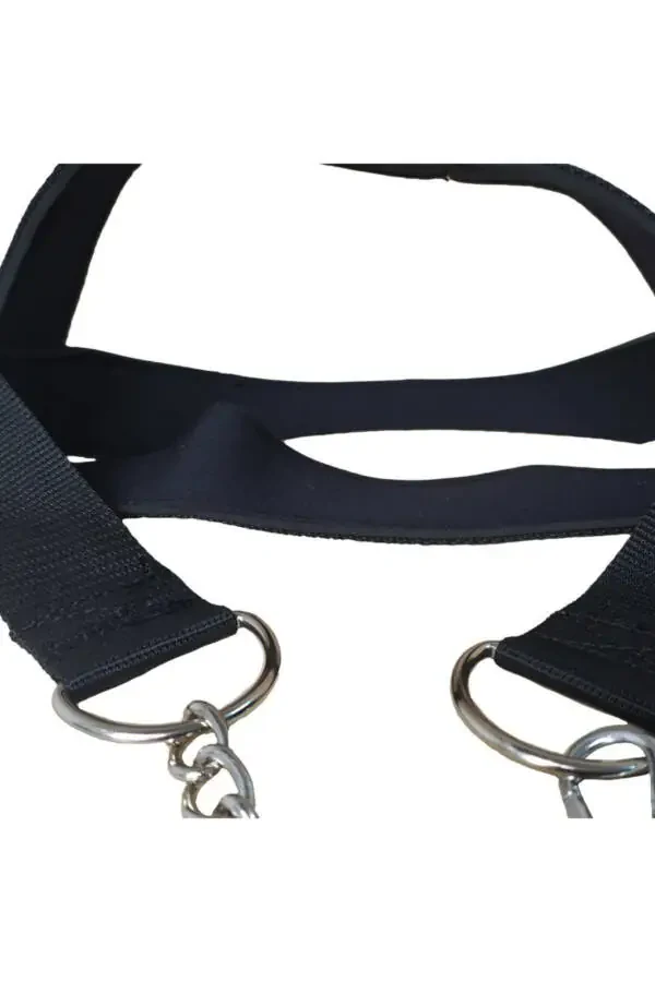 Leon Classic Exercise Weight Training Fitness Head Neck Strap Black Yellow - 4