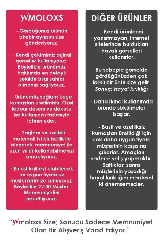 Leopard Cosmetic Makeup Bag Organizer Travel Type 2 Compartment Large Transparent Makeup Organizer-Leopard - 8