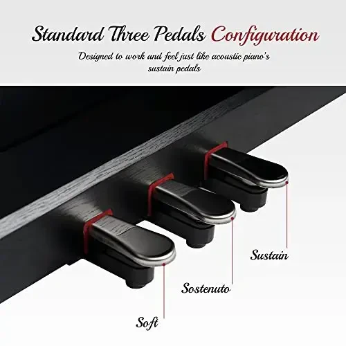 Lexington 88 Keys Weighted Digital Piano, Full Size Portable Hammer Action Electric Keyboard Piano for Beginners w/Furniture Stand, Power Adapter, Triple Pedals, Headphone Jack and Recording, Black - 5