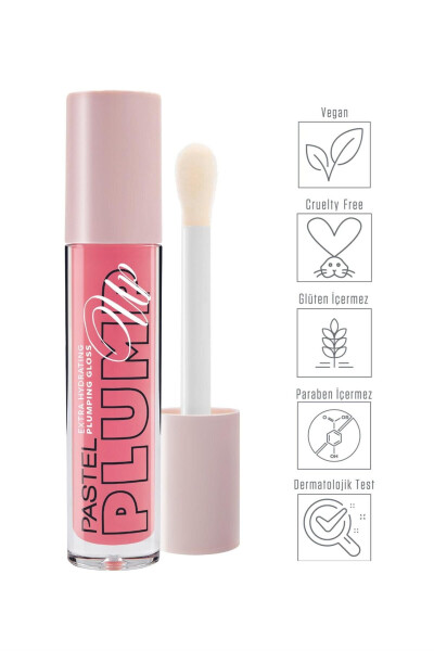 Lip Gloss 203 Plump Up - 2